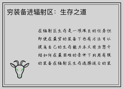 穷装备进辐射区：生存之道